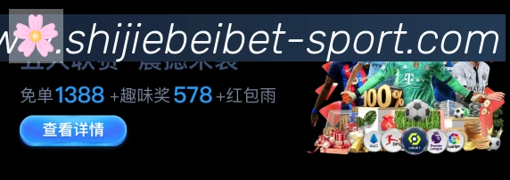 未来规划